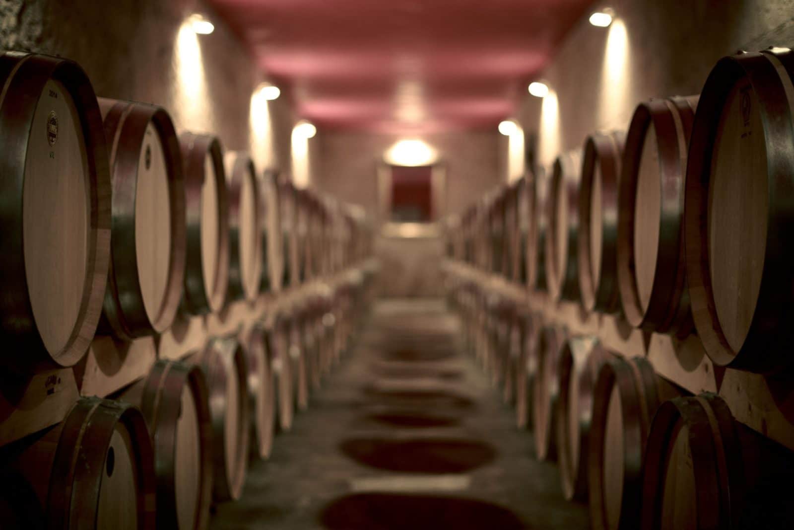 Château Pindefleurs - Chai à barriques